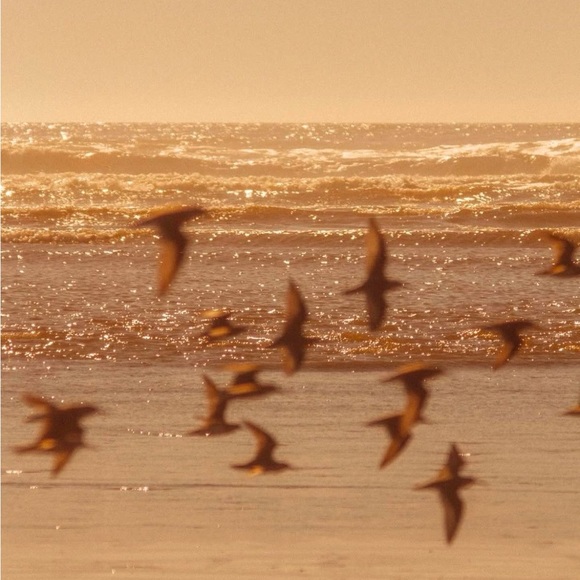 Mood - Picture 3 of 3